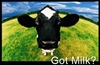 Iowa milk